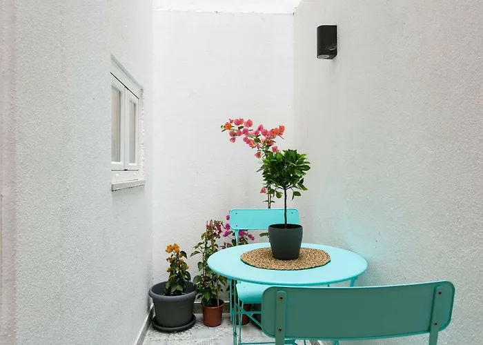 The Rose Of Bairro Alto