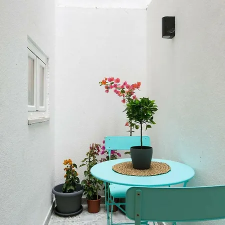 The Rose Of Bairro Alto